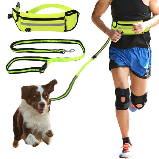 Reflective Pet Waist Bag Leash