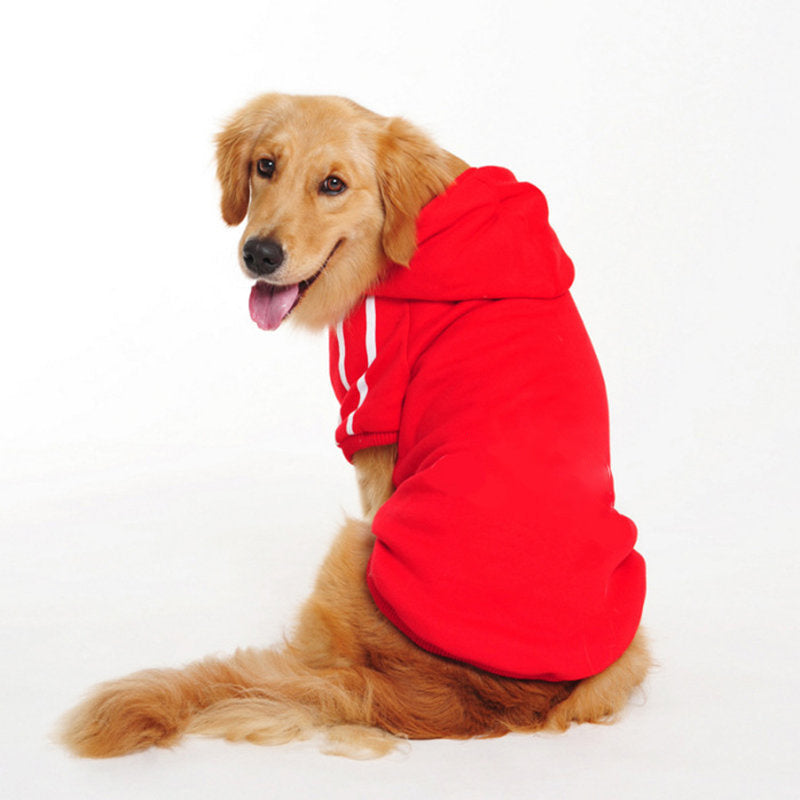 Dog Hoodie