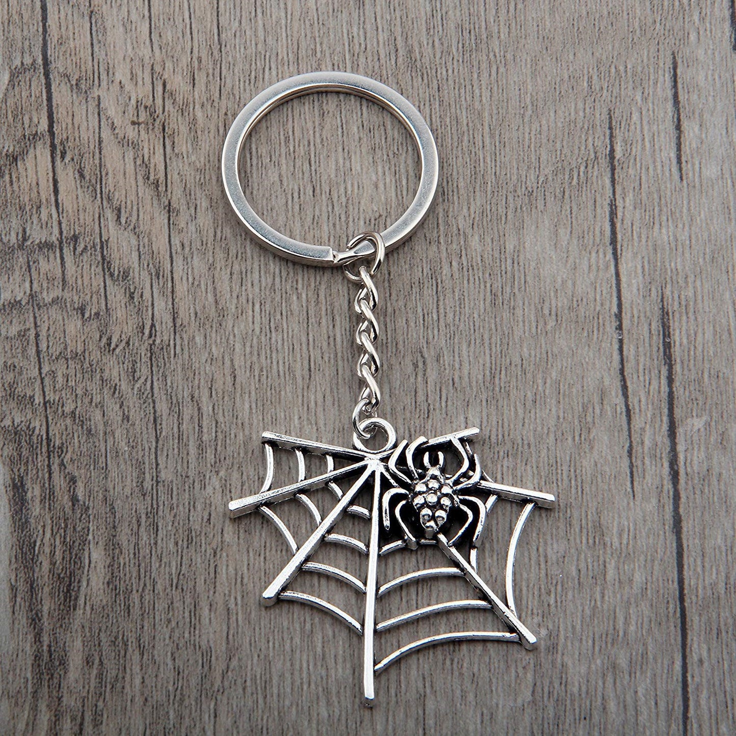 Spider Web Key Chain