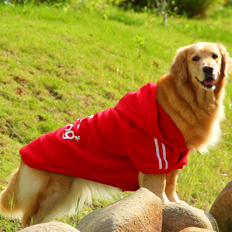 Dog Hoodie