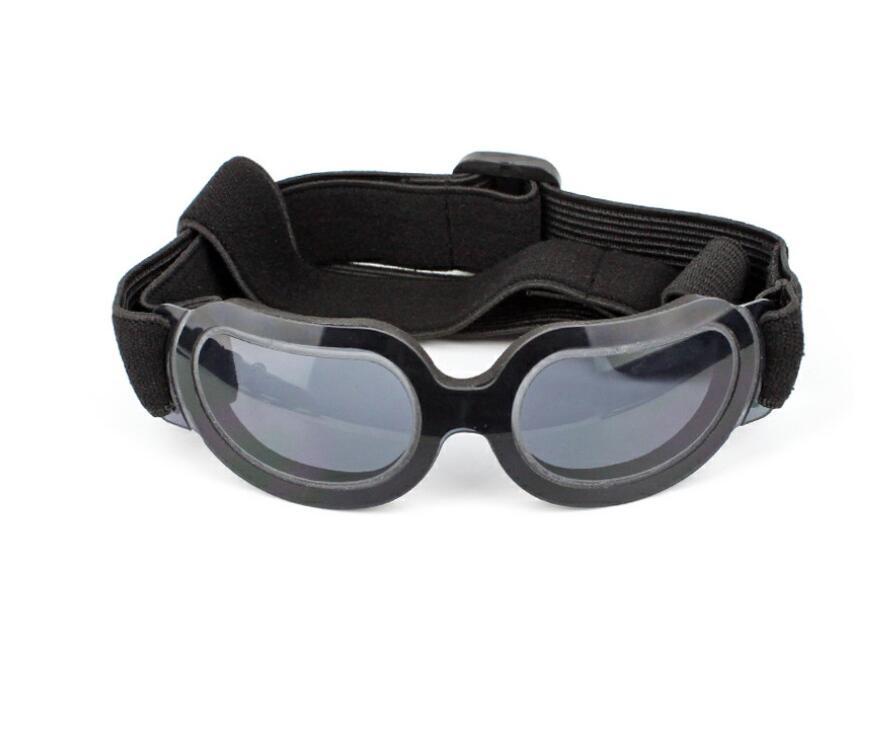 Pet sunglasses