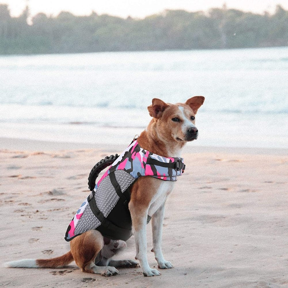 Fashion Dog Life Jacket