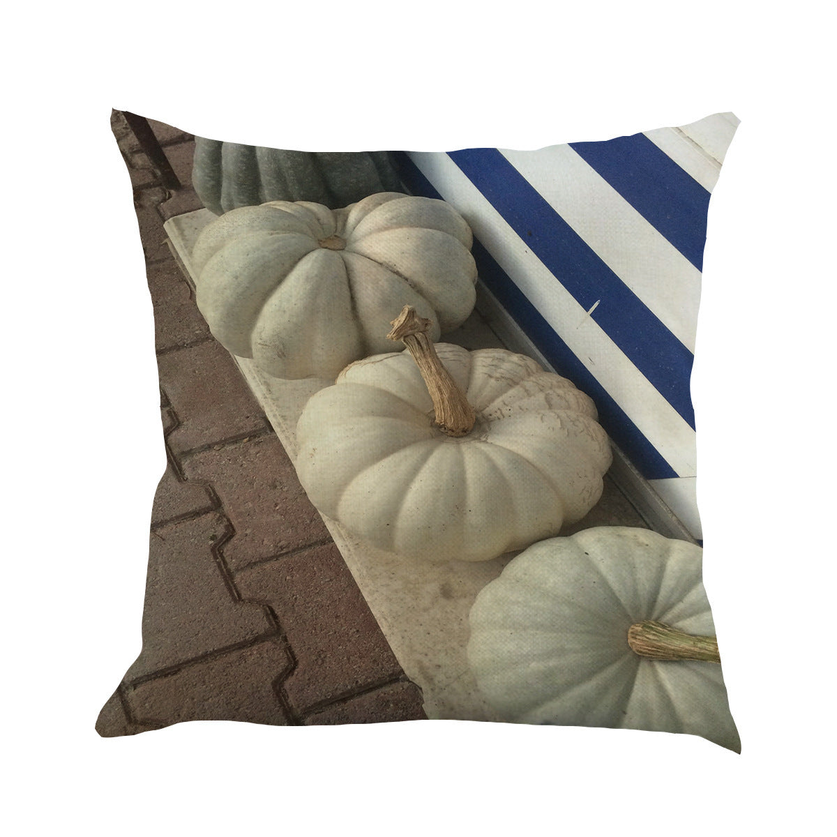 Pumpkin pillow case