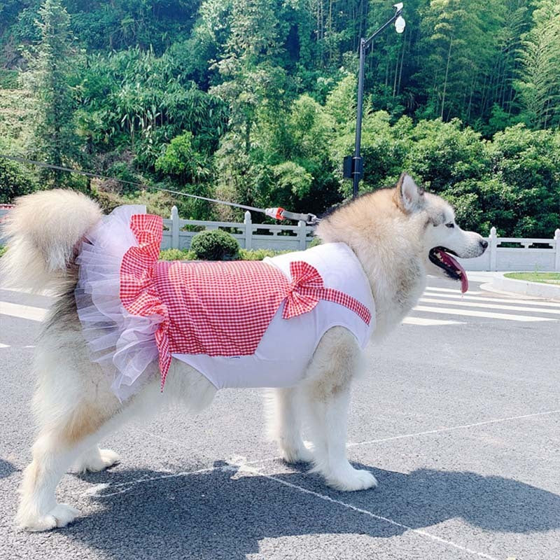 Princess Dog Clothes