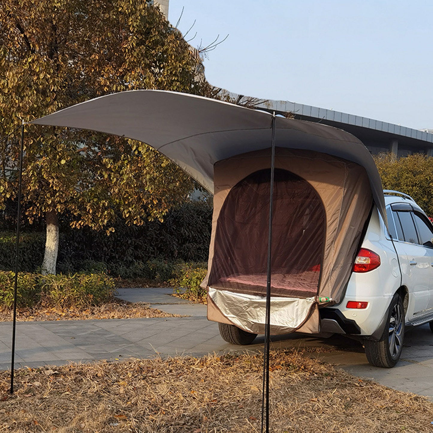 Trunk Canopy