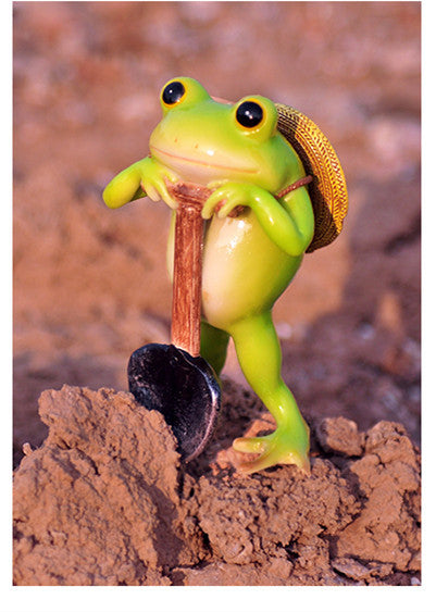 Cute Frog Flower Pot Resin Decoration