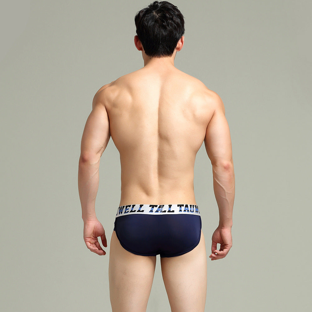 Sexy Hollow Men's Triangle Underwear