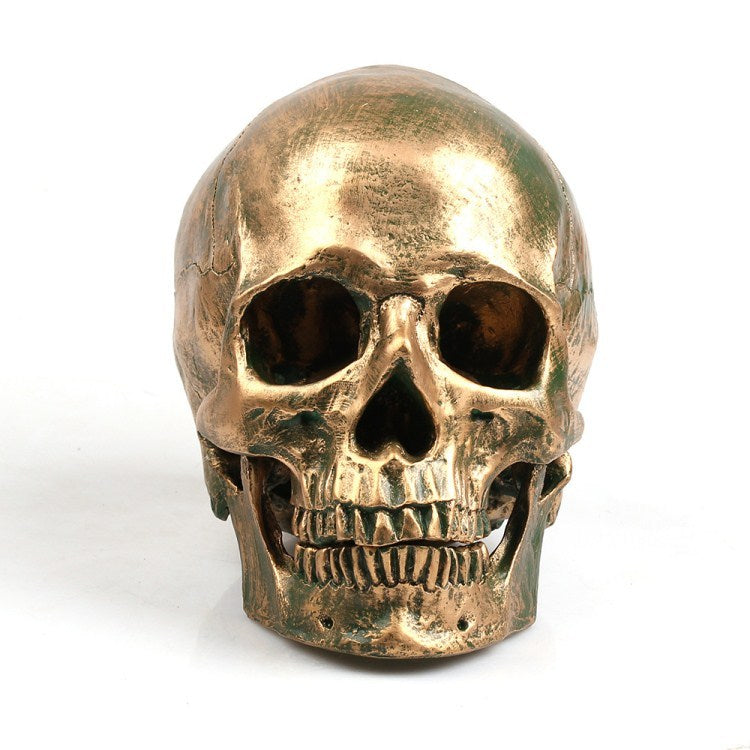 Resin skull