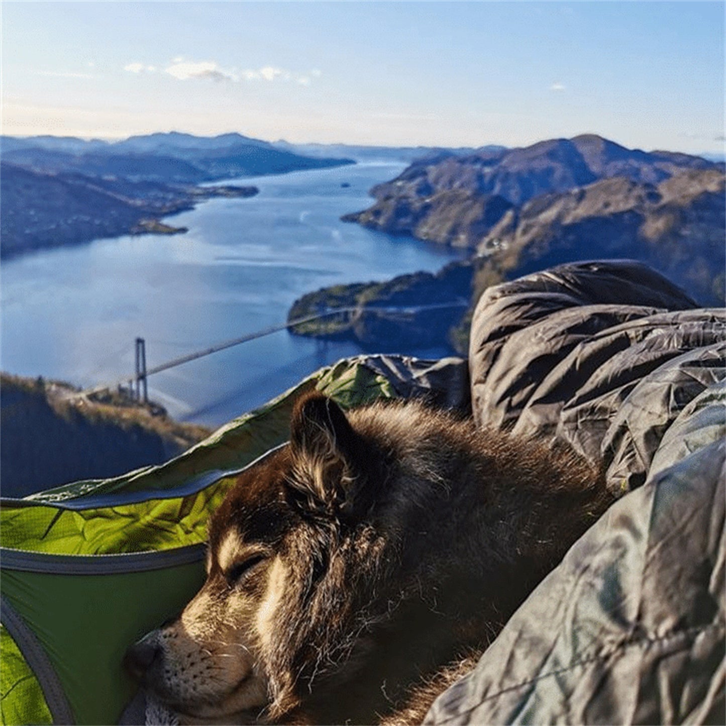 Flat Sleep Hammock