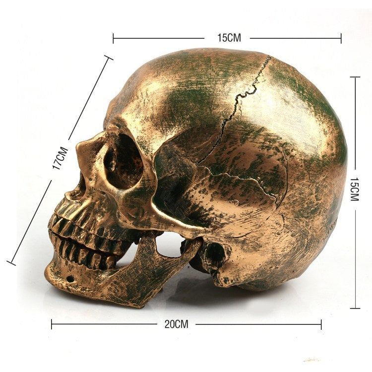 Resin skull