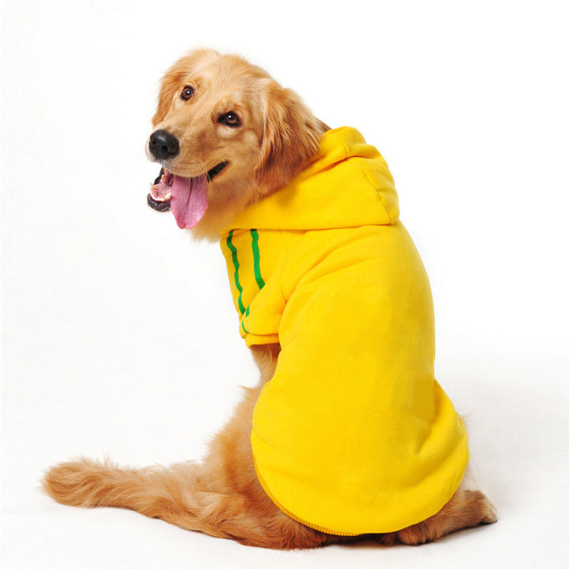 Dog Hoodie