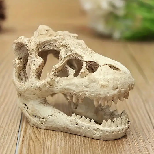 Dinosaur Skull