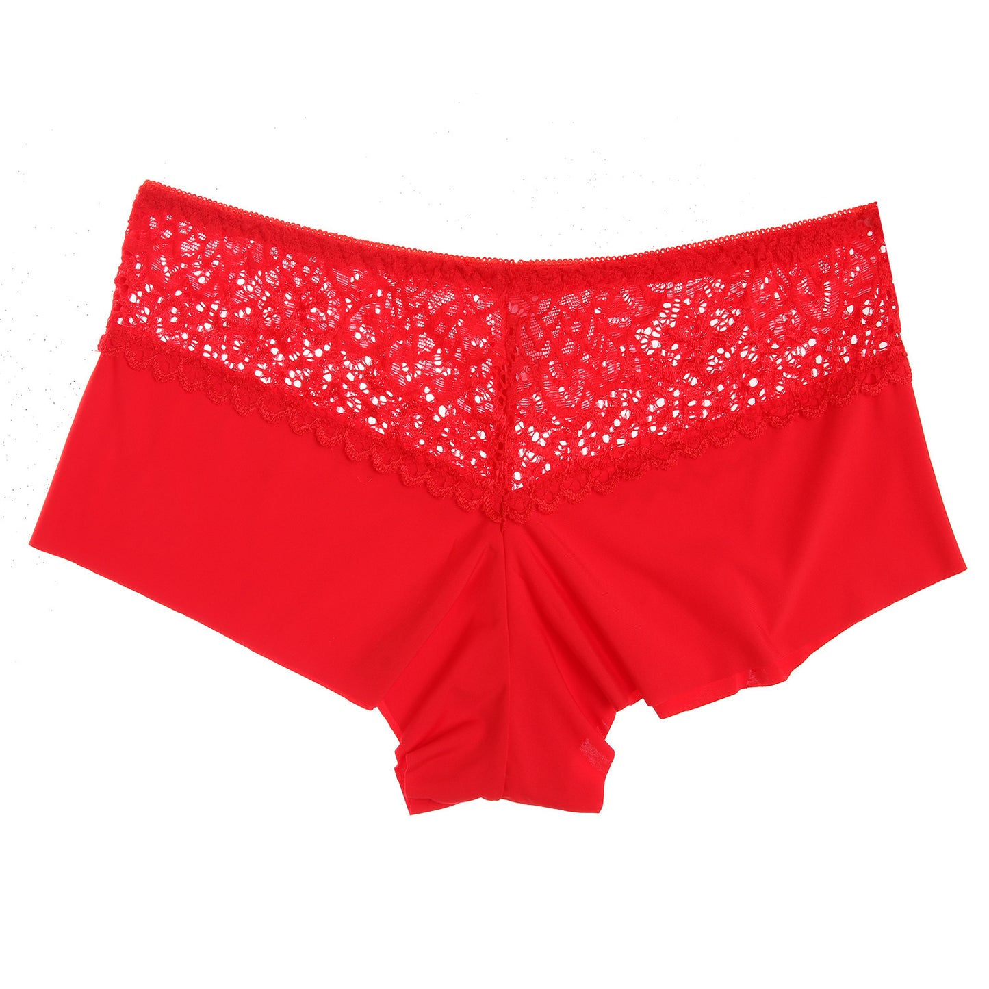 Women's Lace Seamless Briefs