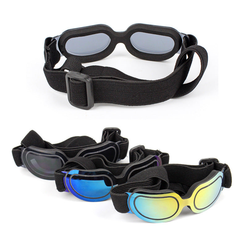 Pet sunglasses