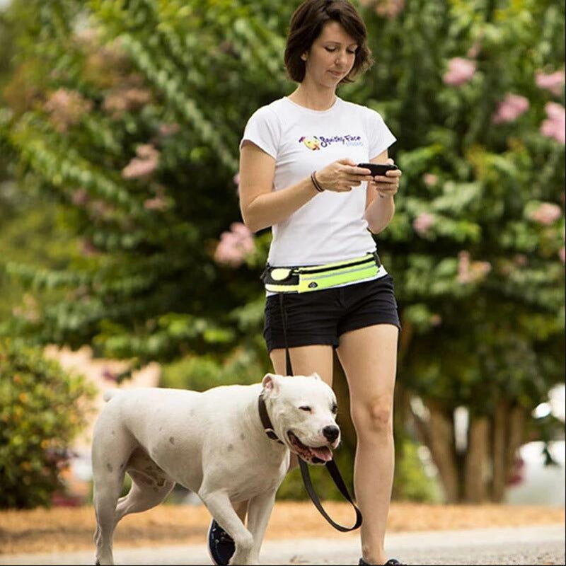 Hands Free Joggers Dog Leash