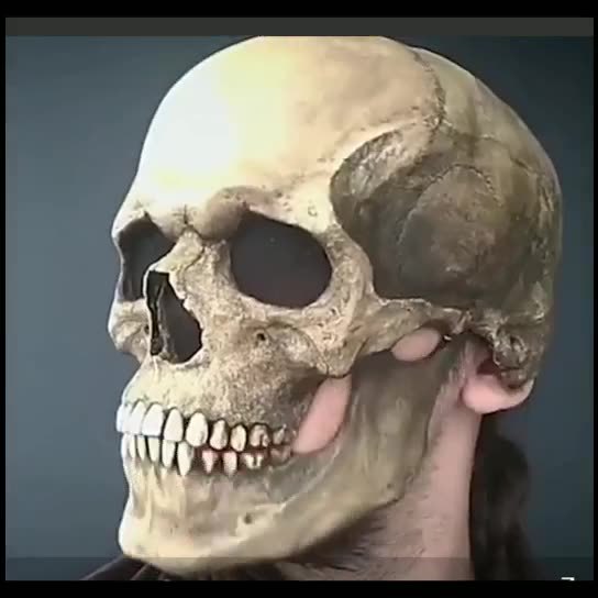 Full Head Skull Mask Helmet with Movable Jaw