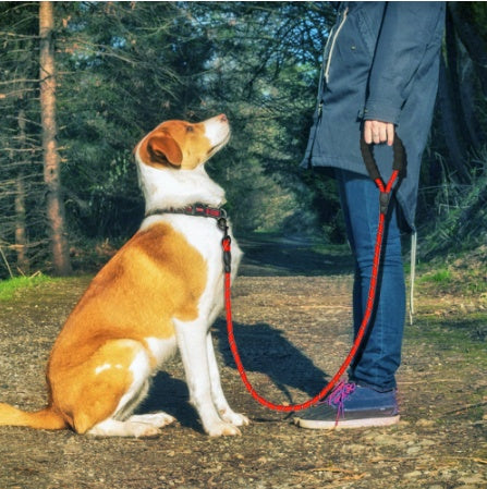 Nylon Reflective Dog Leash