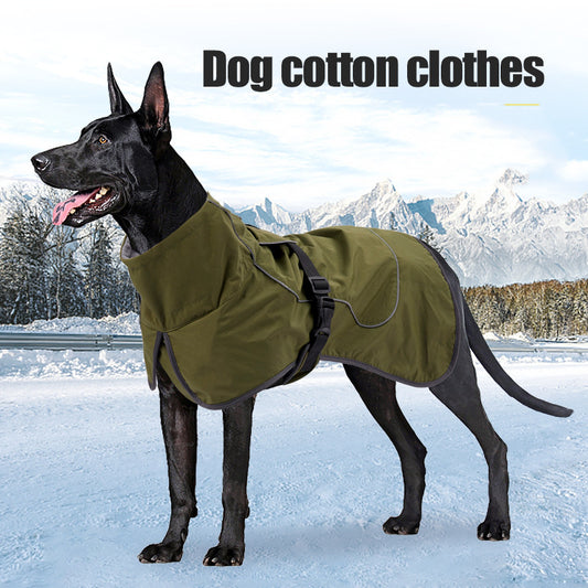 Handsome Dog Winter Coat