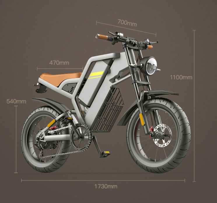 Electric Bicycle With 20 Inch Large Tires and Seven Stage Transmission Assistance