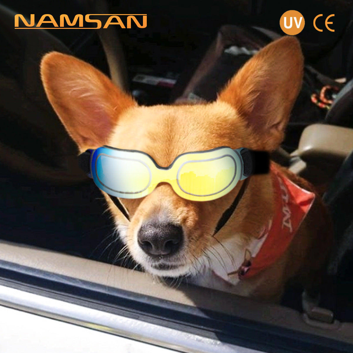 Pet sunglasses