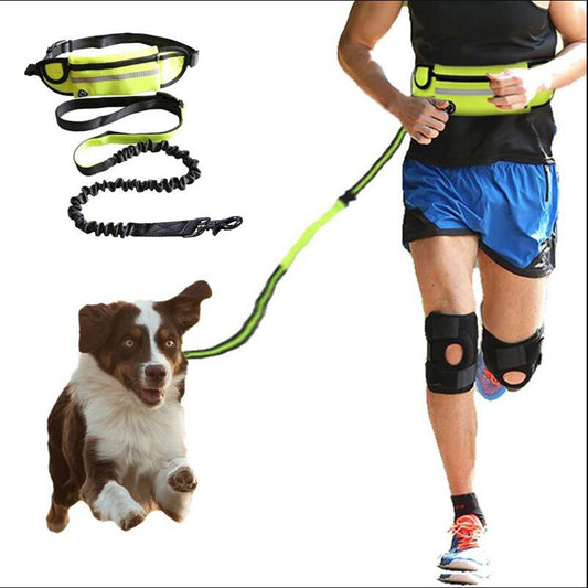 Hands Free Joggers Dog Leash