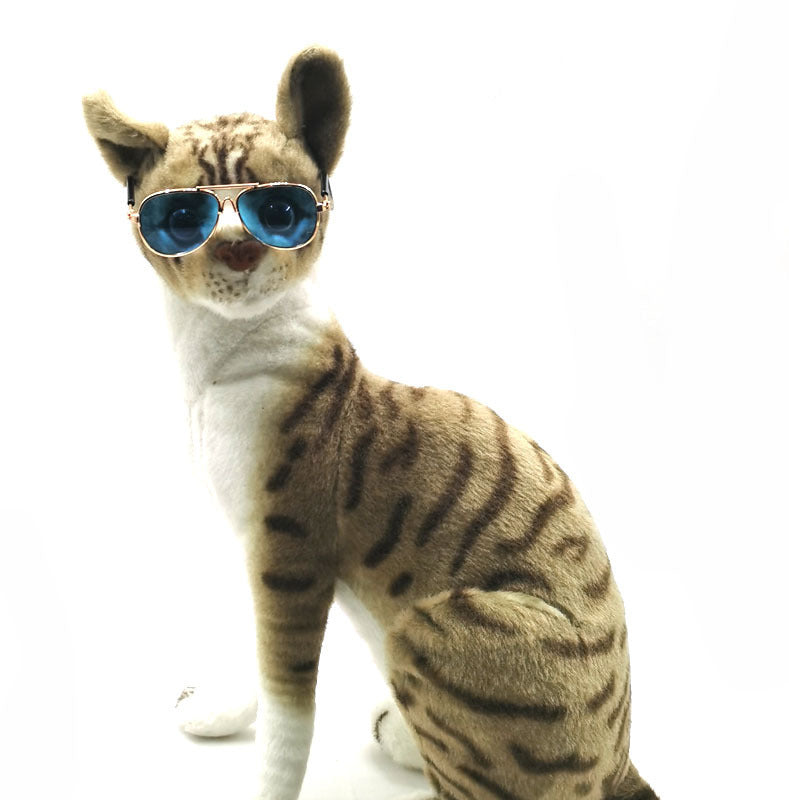 Pet Mini Hip Hop Sunglasses