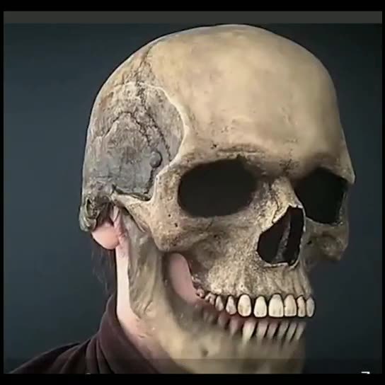 Full Head Skull Mask Helmet with Movable Jaw