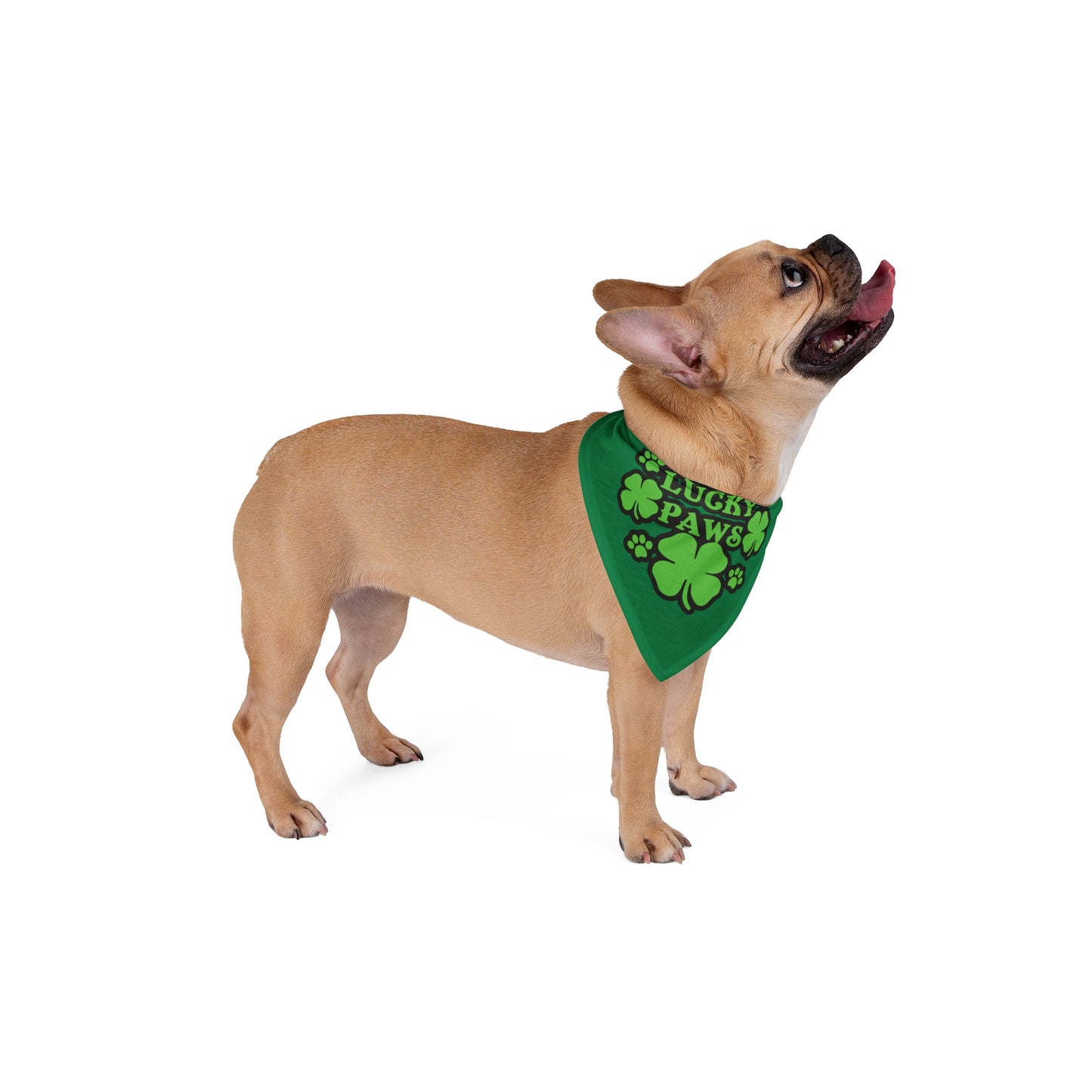 Lucky Paws Pet Bandana