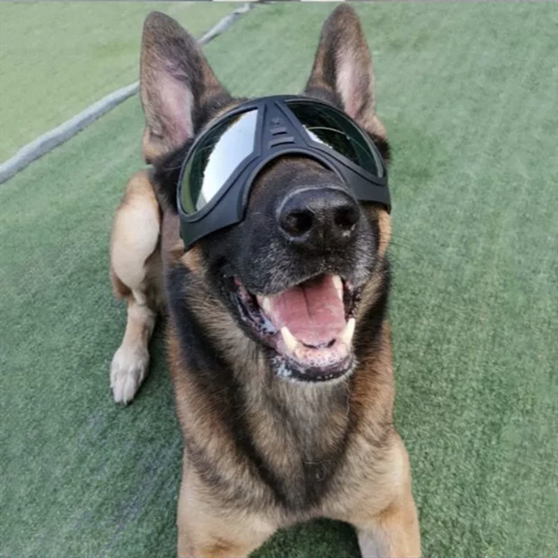 Large Dog Sunglasses