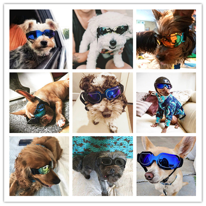 Pet sunglasses