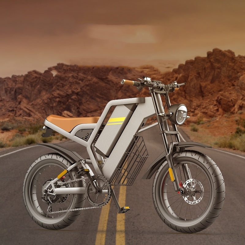 Electric Bicycle With 20 Inch Large Tires and Seven Stage Transmission Assistance