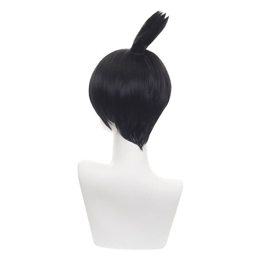 One Soaring Ponytail Cosplay Short  Wig