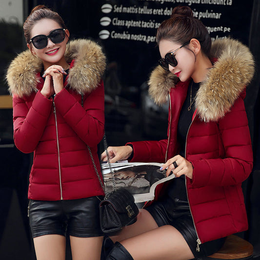 Women's Cotton-padded Coat