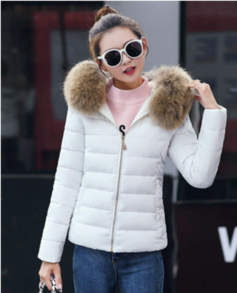 Women's Cotton-padded Coat