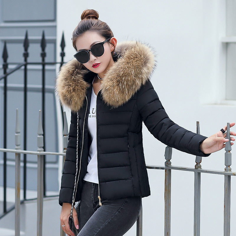 Women's Cotton-padded Coat