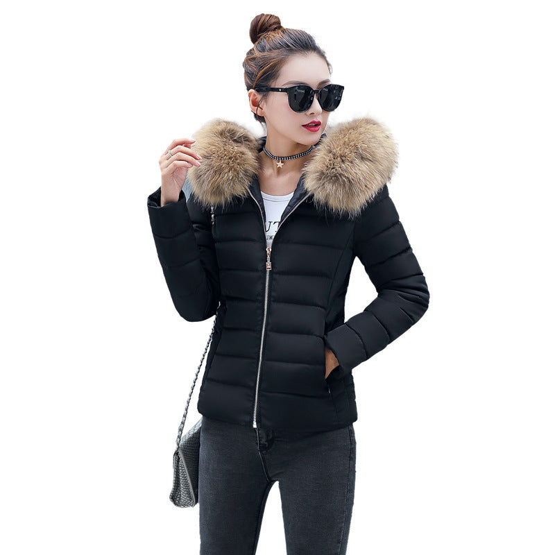 Women's Cotton-padded Coat