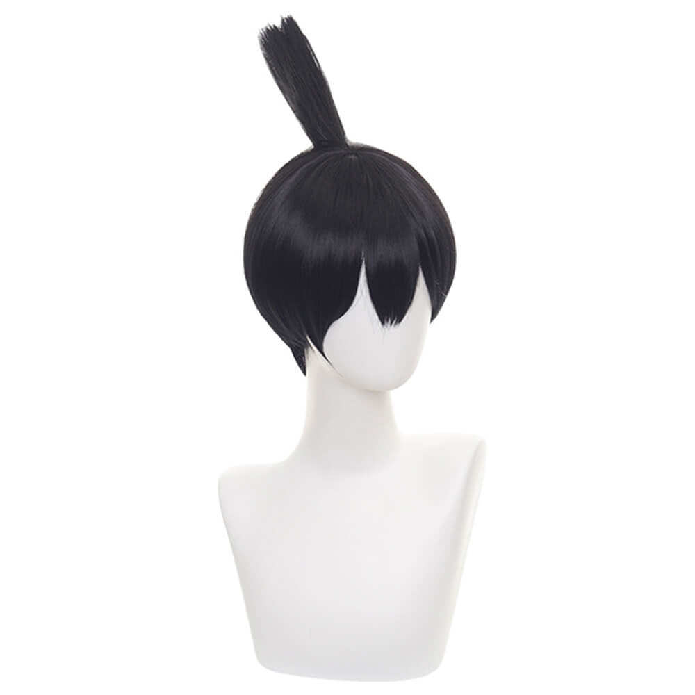 One Soaring Ponytail Cosplay Short  Wig