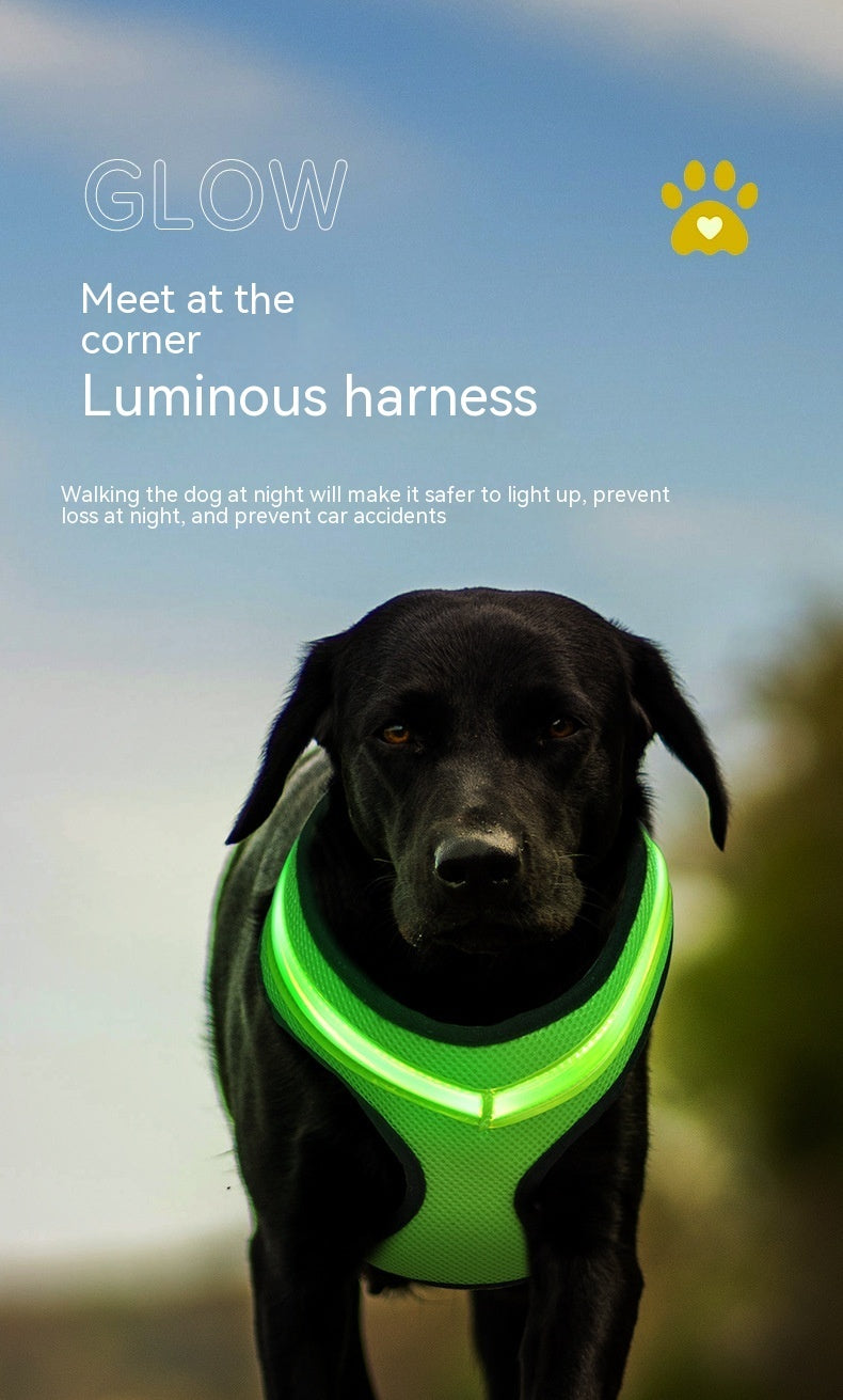 LED Luminous Dog Harness