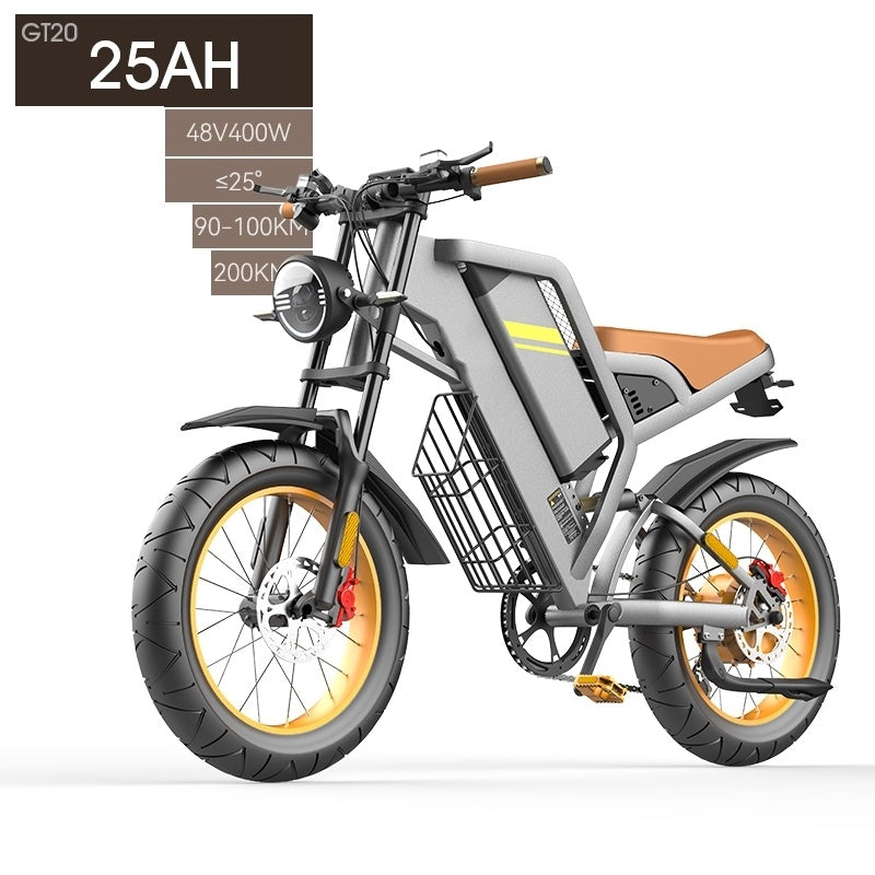 Electric Bicycle With 20 Inch Large Tires and Seven Stage Transmission Assistance