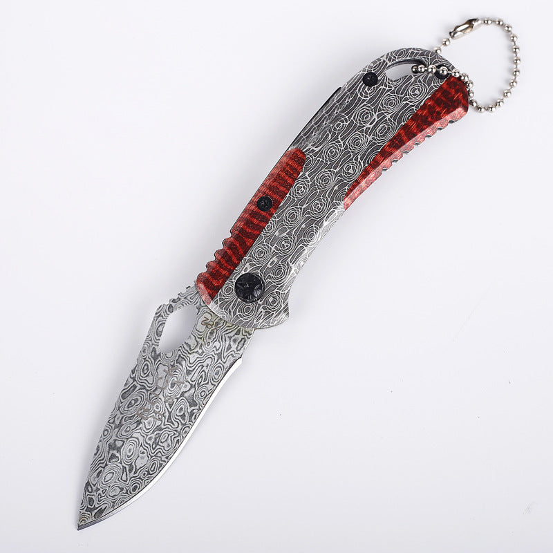 Wild Dragon Stainless Steel Folding Knife