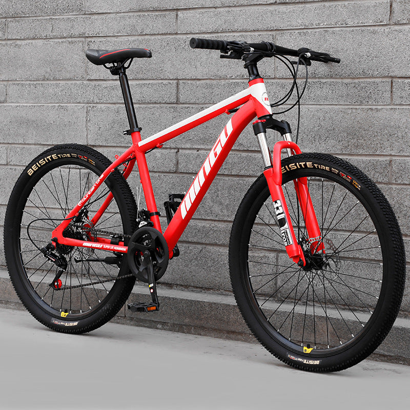 Mountain Bike Bicycle