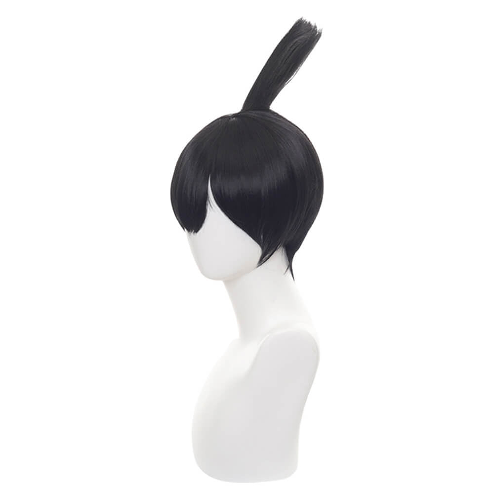 One Soaring Ponytail Cosplay Short  Wig