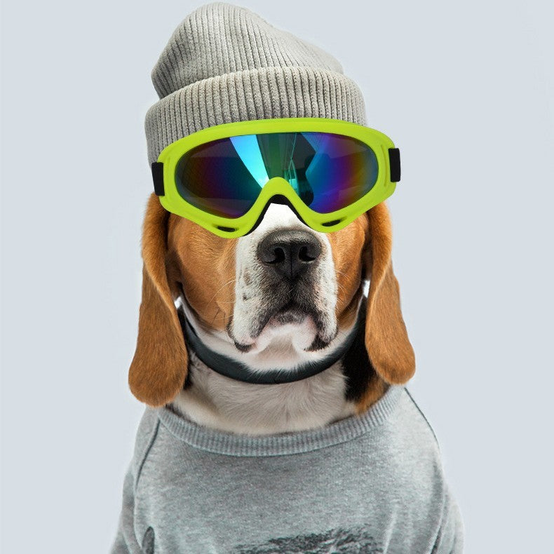 Dog Fashion Sunglasses