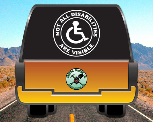 Not all Disabilities are Visible Vinyl Decal